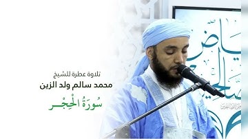 تلاوة هادئة لسورة الحجر بصوت يريح القلب وبدون تكلف | القارئ محمد سالم ولد زين