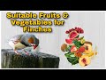 Suitable Fruit and Vegetables For Finches  | Food for finches|