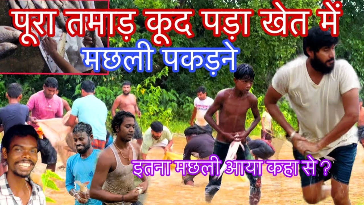 पूरा तमाड़ कूद पड़ा खेत में मछली पकड़ने, बड़ा तालाब भरने से लोगो में हाहाकार मच गया मछली पकड़ने की ।