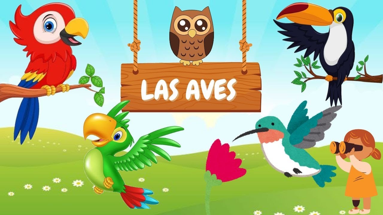 Aves para niños vuela hacia la diversión, aprendizaje y sonidos de las ...