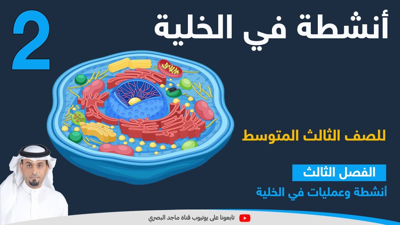 أنشطة في الخلية 2