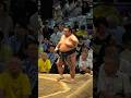 大関貴景勝✨ #令和6年大相撲名古屋場所十日目 #貴景勝