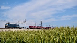 【ニーナ牽引】3075レ EF66 27 岡崎〜西岡崎 (2021.04.25)