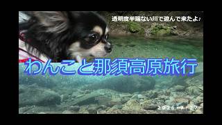 【わんこと那須高原旅行】宿はリブマックスリゾート那須高原さん!どこも凄く良かったよ♪