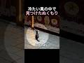 冷たい風の中で見つけたぬくもり