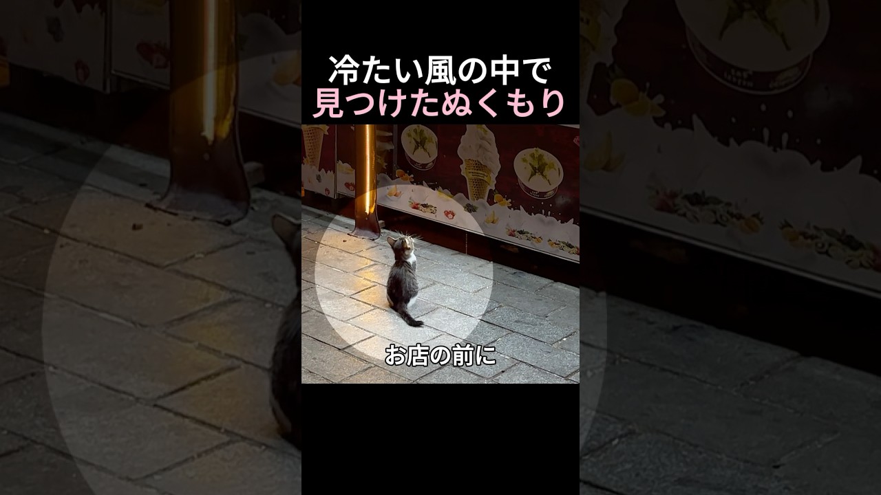 冷たい風の中で見つけたぬくもり