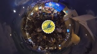 Video thumbnail of "360 Fins Up w/ Jimmy Buffett"