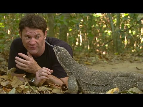 Monitor Lizard LICKS Steve&rsquo;s Eye! | Deadly 60 | BBC Earth
