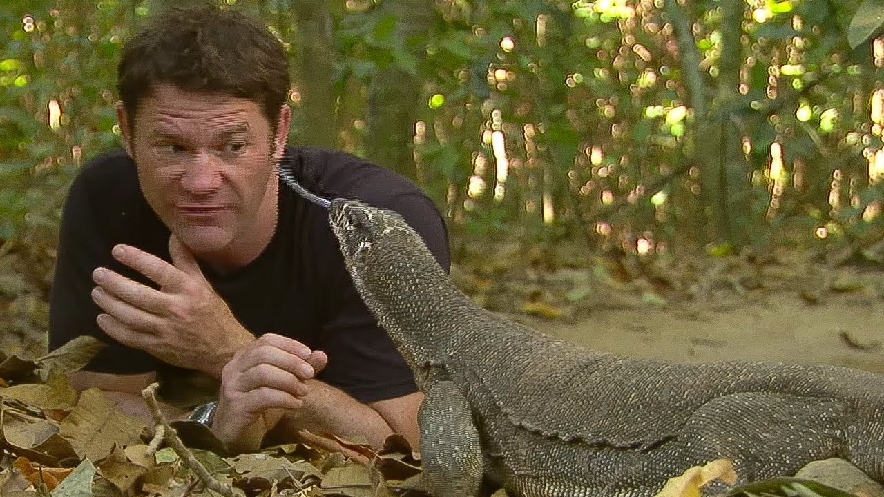 ⁣Monitor Lizard LICKS Steve's Eye! | Deadly 60 | BBC Earth