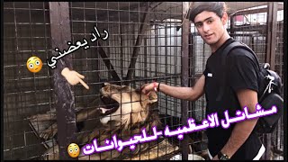 فلوگ - في مشاتل الاعظميه للحيوانات - الجزء _ الثاني