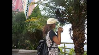 Zola. Op Op Open.zomis Style