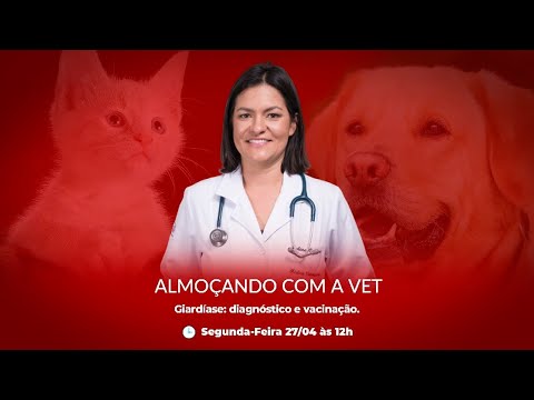 Vídeo: Os Desafios Diagnósticos Do Diagnóstico De Giárdia Em Gatos E Cães