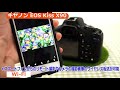 キヤノン EOS Kiss X90（カメラのキタムラ動画_Canon）