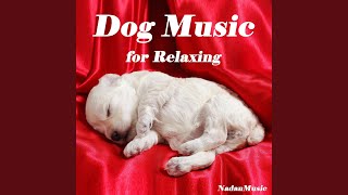 Dog Lullaby
