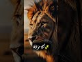أعظم انتصار هو سلامك الداخلي سلام نفسي طاقة إيجابية حب الذات تطوير الذات راحة البال