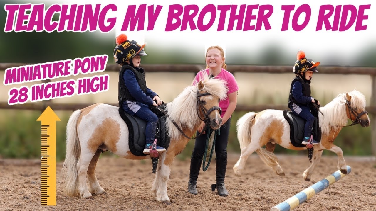 IVY TEACHING ACE ON MINIATURE PONY