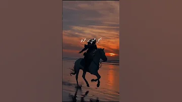 الاخرس سكابا و المهرة بتعرف خيالا يبا نيالا نيالا الاخرس الأخرس ستوريات ستوري اكسبلور لايك 