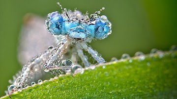 Answer42 - Dew Point (Original Mix) [2011 / Anjunadeep] [HD]