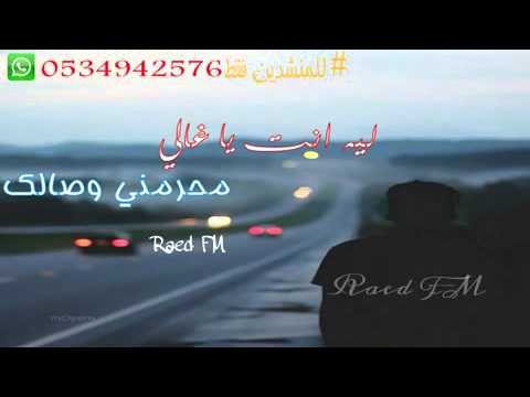 شيلات اللقماني