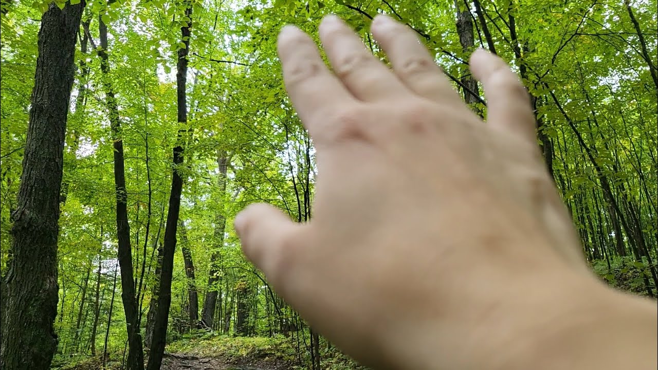 ASMR IN THE WOODS 🍃🍂🌿#asmr #naturesounds