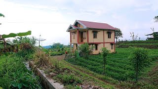 Suasana Rumah Mewah Di Tengah Kebun Dan Sawah || Kampung Baru - Selupu Rejang - Bengkulu