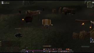 Blackwood Grain Sample (quest item), WoW Classic