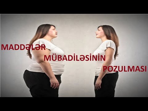 Video: Böyüyən Rusiya. 2-ci hissə