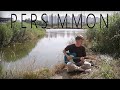 Persimmon -  Emo Math Rock Guitar