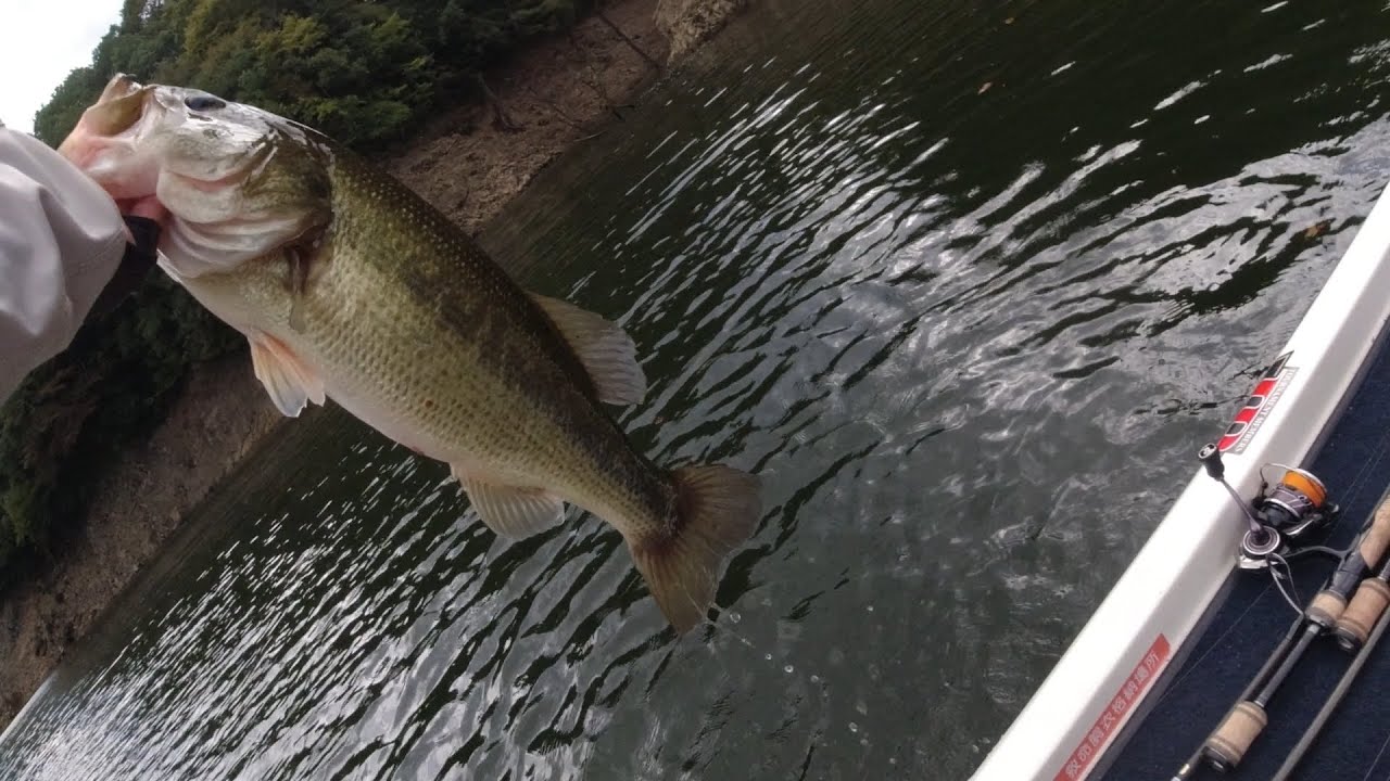 2025年9月 北川ダム【No.57  釣果Vlog Bass１万匹レコード 1566/10000】