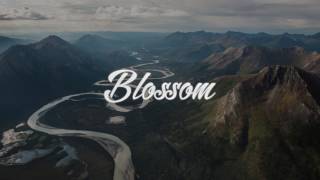 Brock Berrigan - Crossing Paths