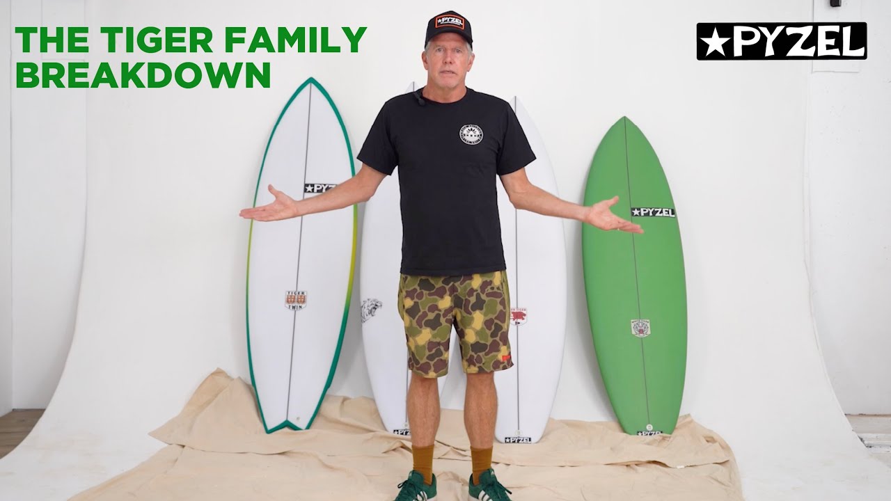 Анализ семейства тигров Пайзел от Джона.