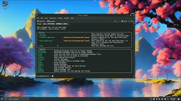 Why use Nala instead of Apt-Get on Debian
