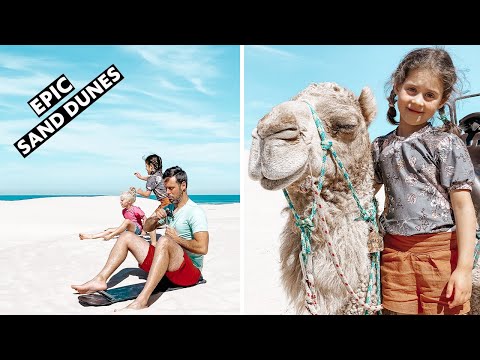 Port Stephens, Sydney, NSW Sandboarding and Camels | Motorhome Australia | FAMILY TRAVEL VLOG