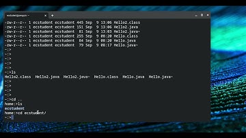 Basic UNIX Terminal Commands