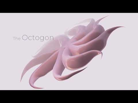 After Effects: Tao - VFX Organism (Octogon)