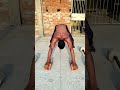 kharid lehab kort se #homewarkout#ragdari #motivation #gymmotiuationoideo