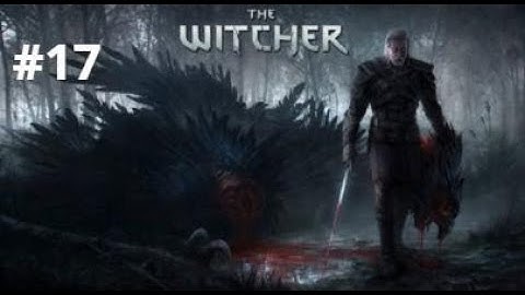 THE WITCHER 3 WILD HUNT Playthrough Part 17 - Magic Lamp (No Commentary)