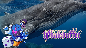 🔴 Whalebuffet With Dave B | Live Stream Event