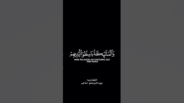 تلاوة خاشعة و مؤثرة للقارئ عبدالرحمن ناجي امام المسجد الصغير بحي الخالدية  #عبدالرحمن_ناجي
