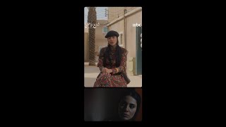 حكايات من شارع الأعشى