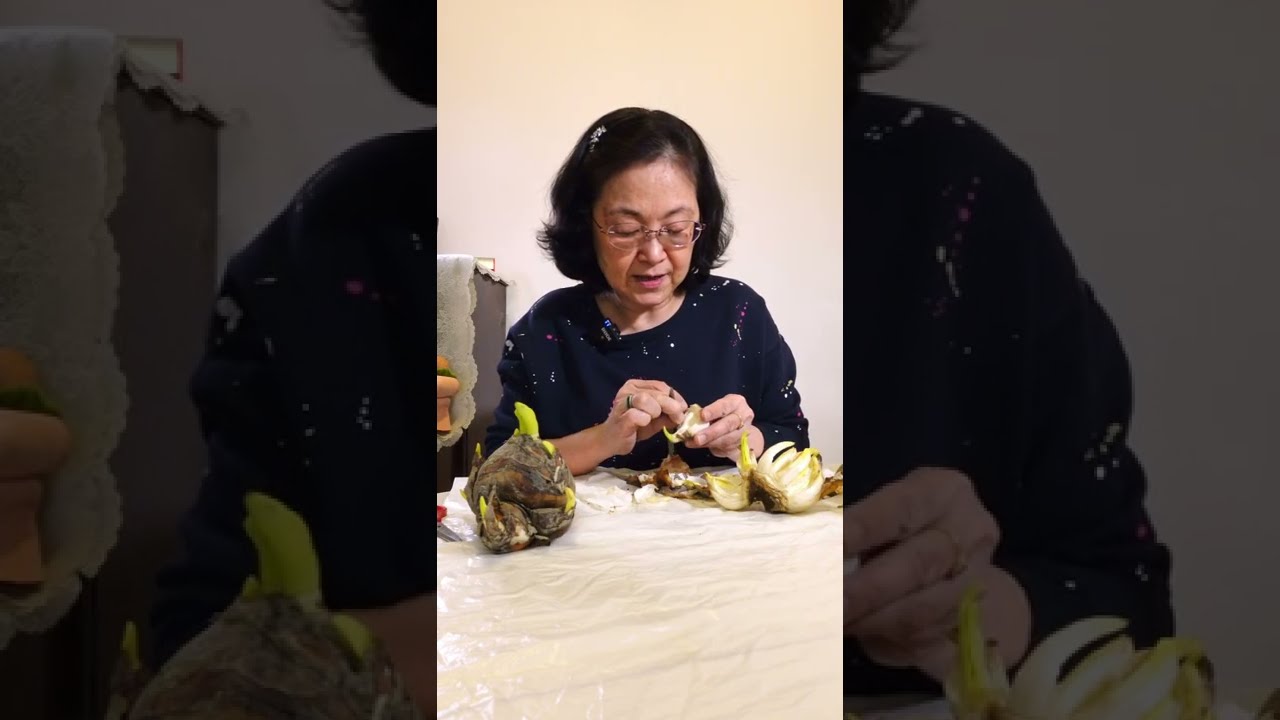 水仙頭教學-Part2 𠝹蟹爪