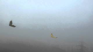 Hong Kong Epp Combat Compeion 2012 - Kenneth Vs Chan