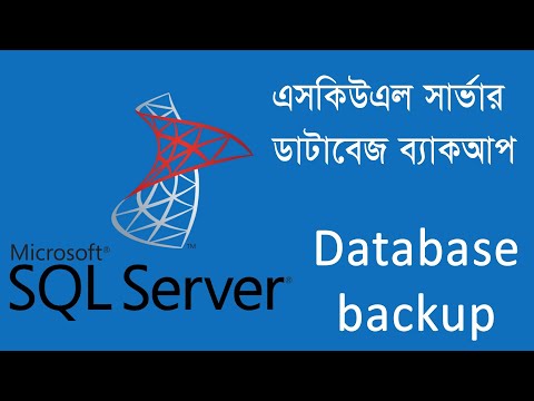 How to create SQL Server full Database backup with schedule