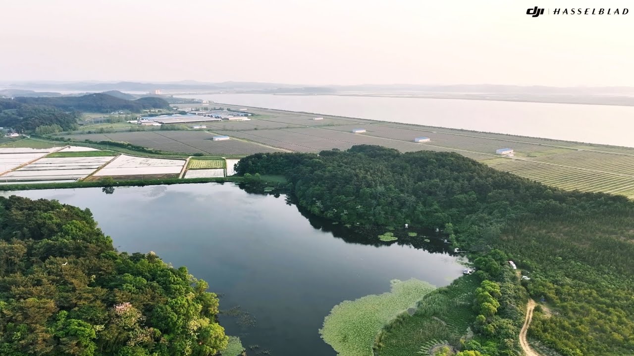 슬프고 아름다운 마룡지 이야기(25.6.28)- 30번째 추억만들기