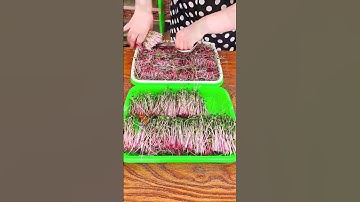 Nông cụ nông nghiệp Tháp Xanh, Công nghệ nông nghiệp, Thế giới Vật tư Máy móc