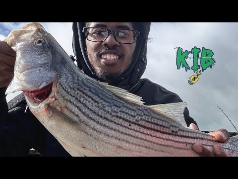 CA Delta Spring Striped Bass Fishing