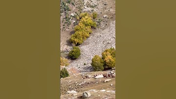 Heaven #egzonibrahimi #سورة_الإخلاص #ikhlas #nature #lehladakhtourism #musicgenre #mountains