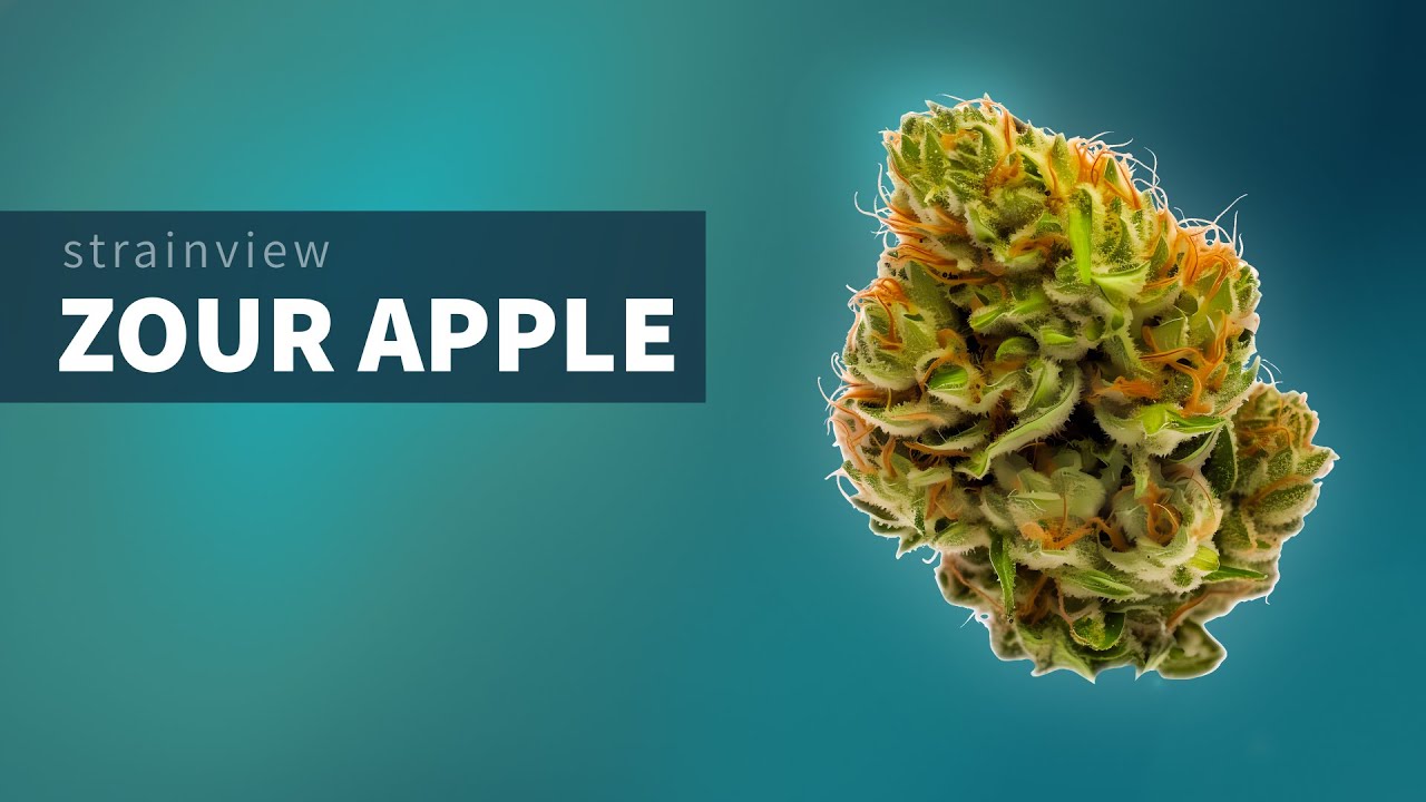 Zour Apple - StrainView