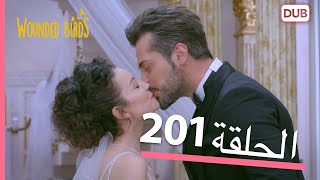 الطيور الجريحة | الحلقة الكاملة 201 |  مدبلج عربي