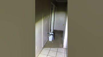 NEIGHBORS FROM HELL #evictions #processserver  #landlord #shorts